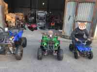 Квадроциклы 50,110,125,250сс, фотография 7