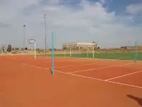 тартановое покрытие с монтажом, фотография 2