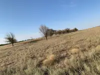 Продажа земельного участка, Алматинская область Илийский район, фотография 3