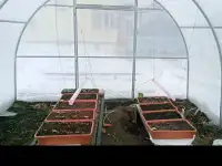 Теплицы с покрытием сотовый поликарбонат, фотография 4