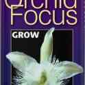 Orchid Focus Grow