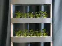 Оборудование для гидропоники, гидропонные установки для растениеводства, выращивание микрозелени, фотография 4