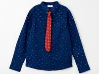 Рубашка и галстук acoola