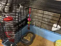 Продаю клетку для кроликовгрызунов, фотография 2