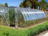 Теплица дачная из поликарбоната, фотография 4