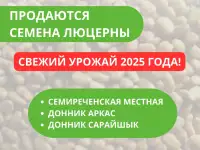 Компанияны негзг ндылыы  ондаан жылдар бойы жинаталан ерекше блм мен тжрибе, сапалы нм ндруде, фотография 7