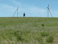 Продам участки на Самарке Миролюбовка, фотография 4