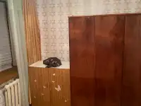 Сдача в аренду, Ботанический сад, фотография 2