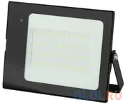 Эра б0043576 прожектор светодиодный lpr-041-1-65k-050 50вт 3500лм 6500к датчик движ нерегулир