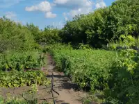 Продам дом, Тобыл ул.Кирпичная 51 КВ.2, фотография 3