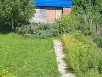 Продам дачу, Иртышский строитель-2, между п. Кожохово и п. Предгорное, фотография 6