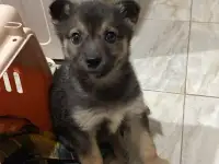 Забери меня к себе, Добрый человек, фотография 9