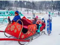 продам сани большие под лошадь, фотография 6