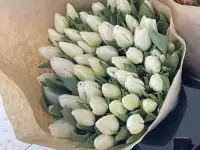 Тюльпаны оптом и в розницу к 8 марта, фотография 5