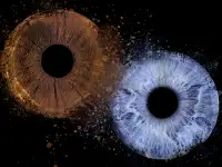 ФОТО РАДУЖКИ ГЛАЗ БИЗНЕС, фотография 4