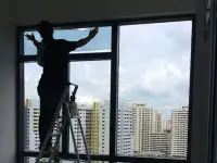 Тонировка окон