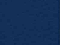 Спортивный линолеум Forbo Sportline Standart 4.3 мм, фотография 6