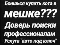 Автоподбор, автоэксперт, фотография 3