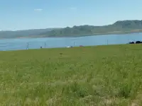 Продам участки на Самарке Миролюбовка, фотография 6