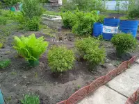 Продам дачу остановка поворотная, фотография 8