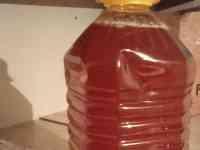 Продам Алтайский мед оптом, фотография 2