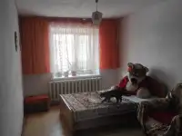 Продам 3х комн.кв в Боровом. В 2х этажном доме на 4 хоз с отдельным входом, фотография 10