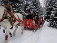 продам сани большие под лошадь, фотография 2