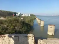 Биодизельный завод, инвестпроект в Свободной Экономической зоне, Румыния., фотография 3