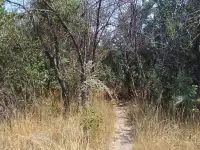 Продам землю, Алтын орда, фотография 2