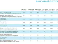 Тестомес вилочный ALTUNTOP ATYK 100, фотография 3