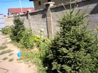 продам дом, Тайтобе. ул.Б.Байкадамов 32, фотография 5