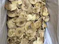Продам сушеные грибы с Алтая, фотография 4