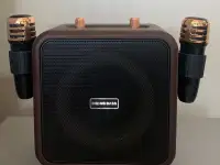 Колонка музыкальная беспроводная с караоке, фотография 2