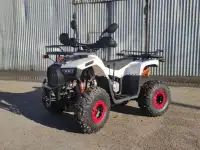 Квадроциклы 125-250 сс, фотография 2