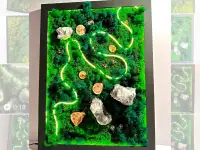 Картина из стабилизированного мха, фотография 2