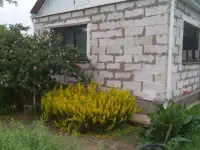 Срочно продам дачу, АЗФ 5, фотография 2