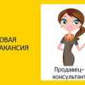 Продавец консультант