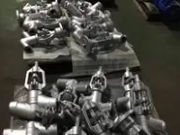 Запорные клапанывентили высокого давления Globe valve High pressure, фотография 2