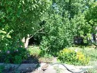 ПРОДАМ ДОМ В ДАЧНОМ КООПЕРАТИВЕ ТАМАРИКС зимний вариант, фотография 11