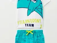 Футболка и шорты playtoday