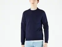 Мужская толстовка lacoste