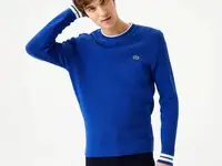 Мужской свитер lacoste regular fit