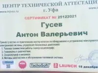 Диагностика двигателя / Эндоскопия Выездной осмотр, фотография 3