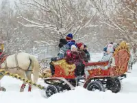 аренда кареты, фотография 4