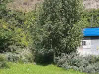 Продам дачу, Иртышский строитель-2, между п. Кожохово и п. Предгорное, фотография 7