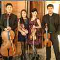 Струнный квартет для вашего мероприятия, фотография 3