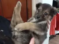 Забери меня к себе, Добрый человек, фотография 6