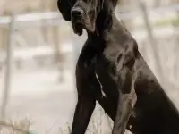 Продажа, фотография 2