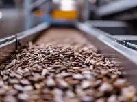 Семечки полосатые оптом в наличии, импортные Китай, фотография 2