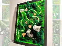 Картина из стабилизированного мха, фотография 3